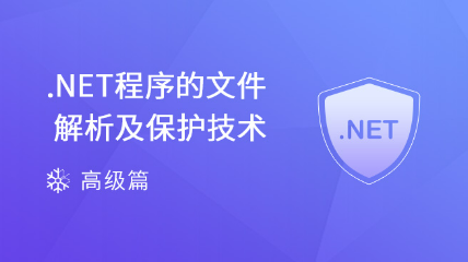 .NET程序的文件解析及保護技術